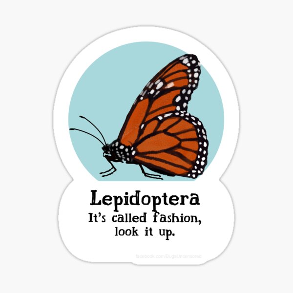 Lepidoptera Pride! Sticker