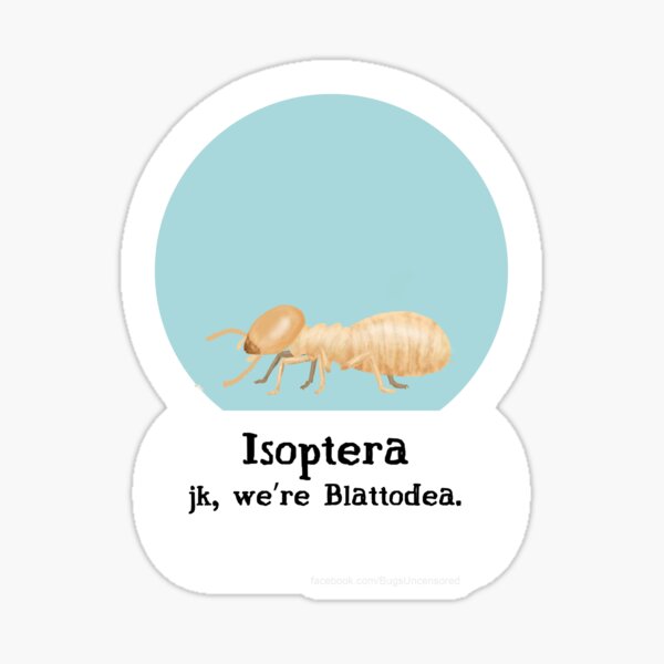 Isoptera Pride Sticker