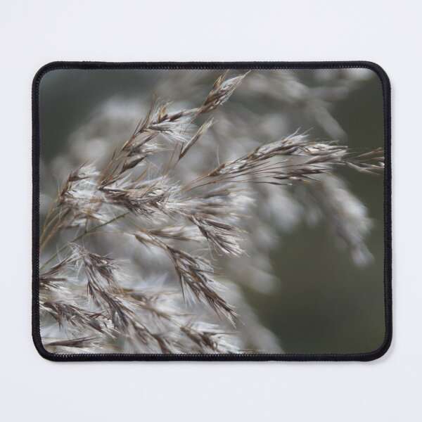 Item preview, Flowering Gras designed and sold by Calidris Fotografie Steffi & Ben Köppler.