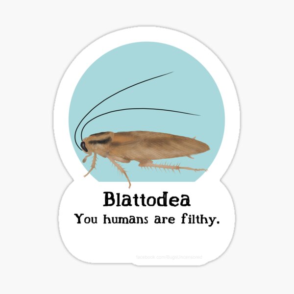 Blattodea Pride Sticker