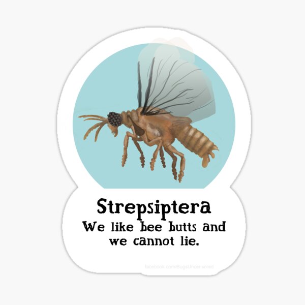 Strepsiptera Pride! Sticker