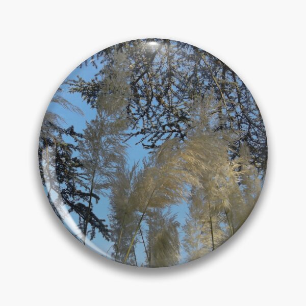 Item preview, PAMPAS GRASS AND TREES AT SHEFFIELD PARK designed and sold by TMarsPhotos.