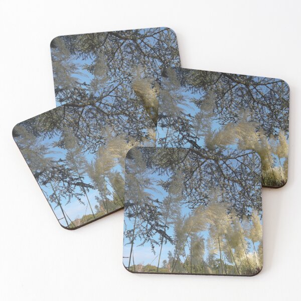 Item preview, PAMPAS GRASS AND TREES AT SHEFFIELD PARK designed and sold by TMarsPhotos.