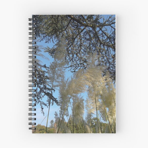 Item preview, PAMPAS GRASS AND TREES AT SHEFFIELD PARK designed and sold by TMarsPhotos.