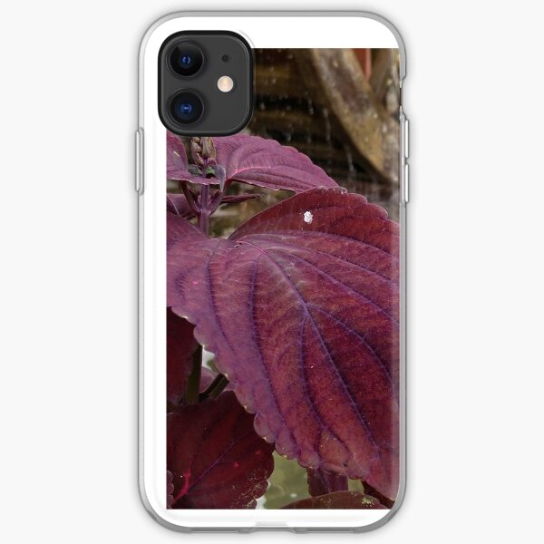 Purple Flower By Water Wheel iPhone Soft Case