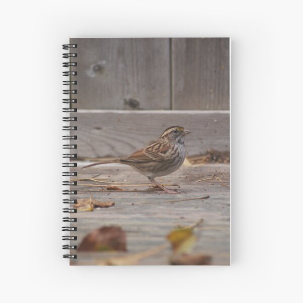 Hello November Spiral Notebook