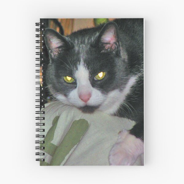 Item preview, Look Into My Eyes designed and sold by Elizabeth Austin-Craig.