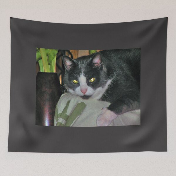 Item preview, Look Into My Eyes designed and sold by Elizabeth Austin-Craig.