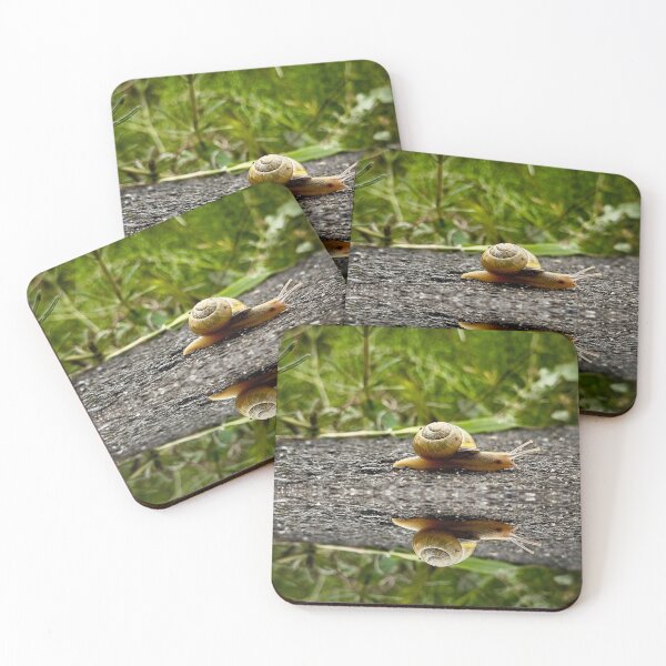 Item preview, Exacta designed and sold by Steve Walser.