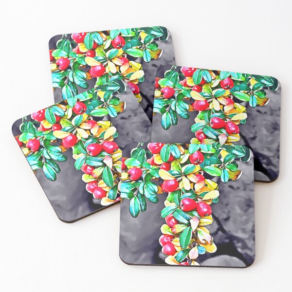Item preview, Cotoneaster Close Up designed and sold by Daniel Janda.