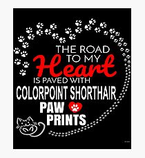 The Road To My Heart Is Paved With Colorpoint Shorthair Paw Prints - Gift For Passionate Colorpoint Shorthair Cat Owners Photographic Print
