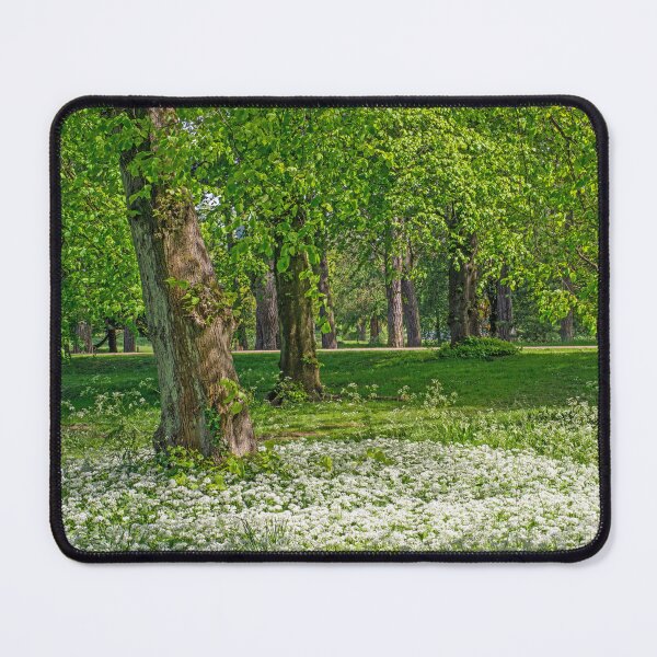 Item preview, Bute Park Cardiff South Wales designed and sold by Cameranick.