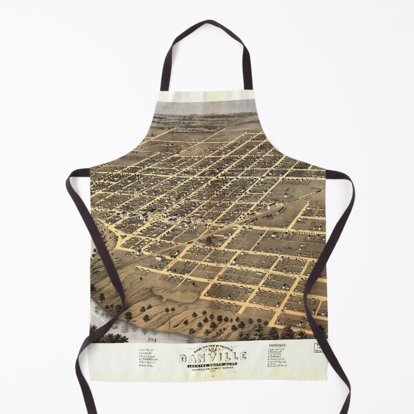 Item preview, Danville, Illinois (1869) designed and sold by allhistory.