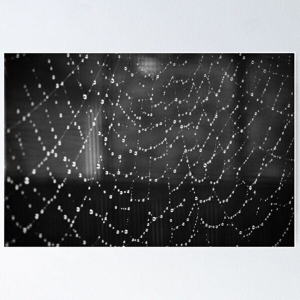 Spiderweb Poster