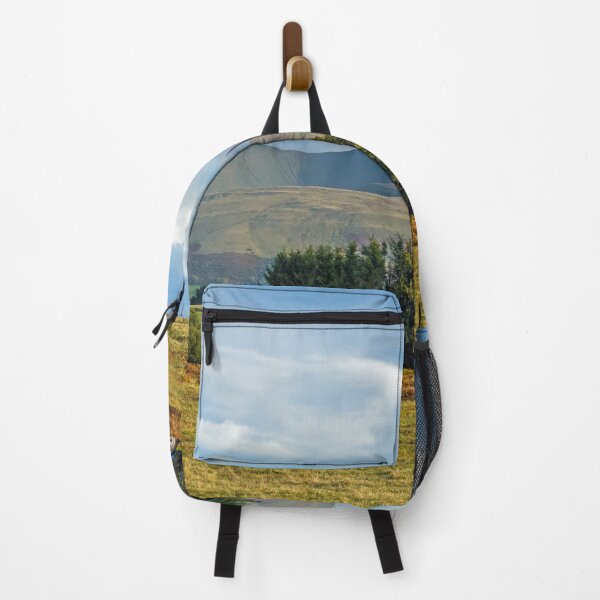 Item preview, Pen y Fan and Corn Du from the Mynydd Illtyd Pond designed and sold by Cameranick.
