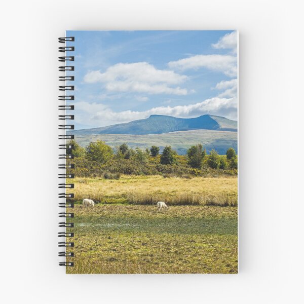 Item preview, Pen y Fan and Corn Du from Mynydd Illtyd Common Brecon Beacons designed and sold by Cameranick.