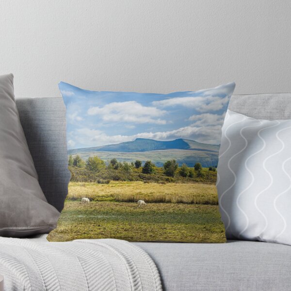 Item preview, Pen y Fan and Corn Du from Mynydd Illtyd Common Brecon Beacons designed and sold by Cameranick.