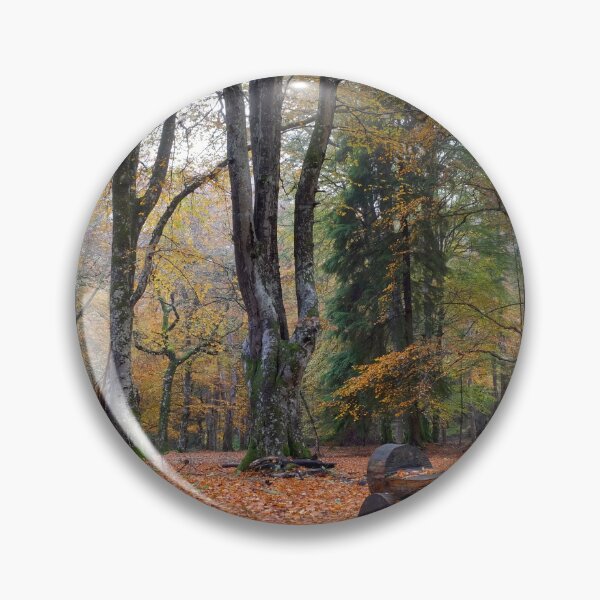 Item preview, Upper Reelig in Autumn designed and sold by Macrae images.