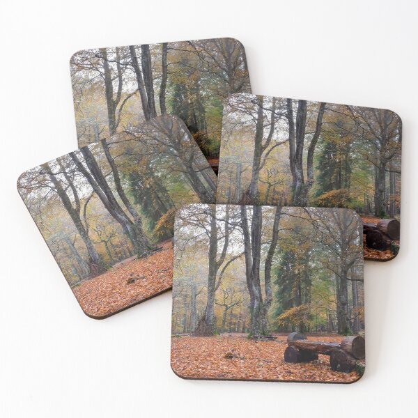 Item preview, Upper Reelig in Autumn designed and sold by Macrae images.