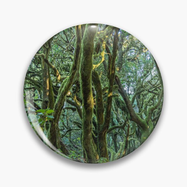 Item preview, Garajonay National Park, La Gomera designed and sold by reisefoto.