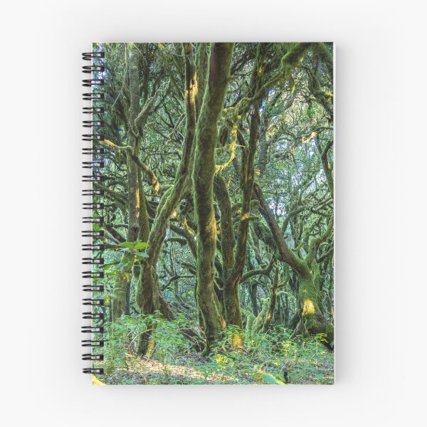 Item preview, Garajonay National Park, La Gomera designed and sold by reisefoto.