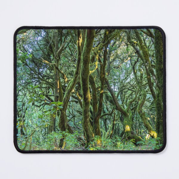 Item preview, Garajonay National Park, La Gomera designed and sold by reisefoto.