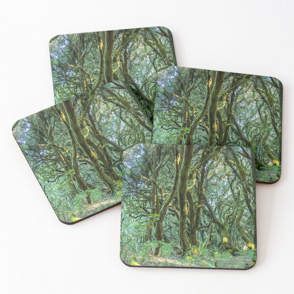 Item preview, Garajonay National Park, La Gomera designed and sold by reisefoto.