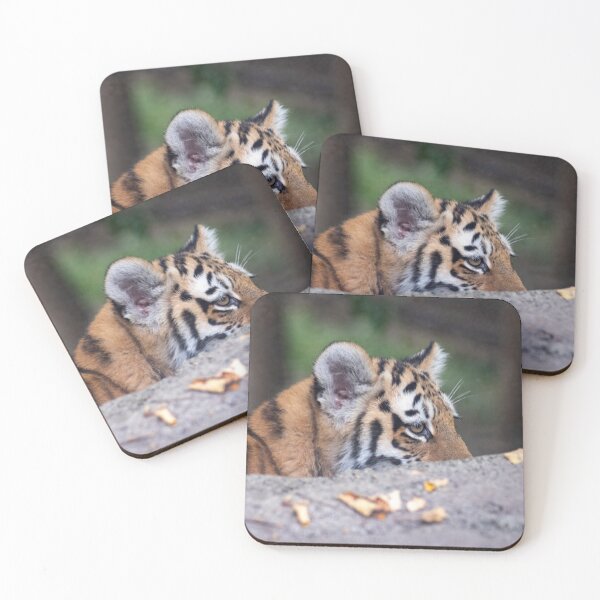 Item preview, bebe Amur Tiger looking designed and sold by Raven-Creative.