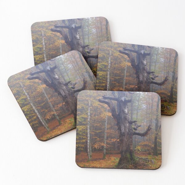 Item preview, Reelig Forest designed and sold by Macrae images.