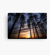 Standing with giants Canvas Print