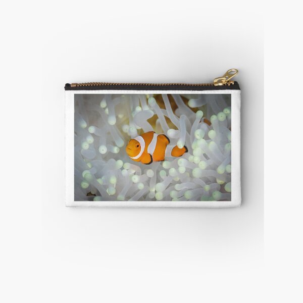 Item preview, Nemo designed and sold by Jose Antonio  Castellano Garrido.