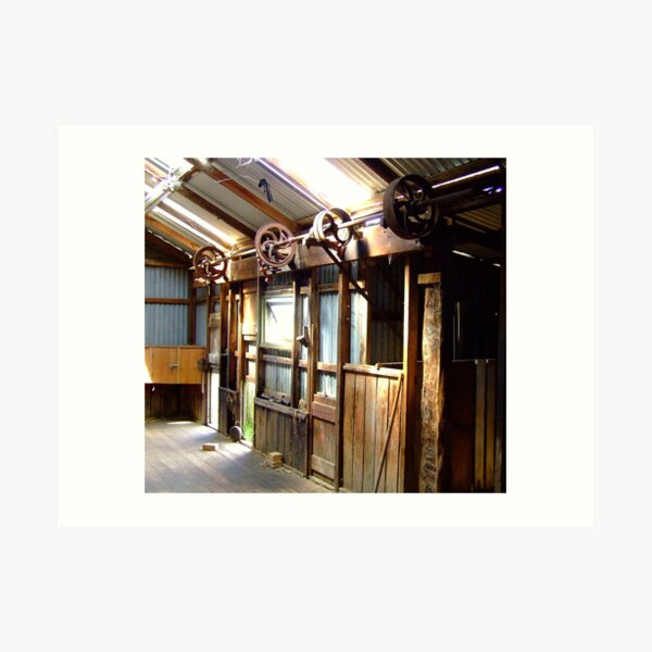 Inside the shearing shed Art Print