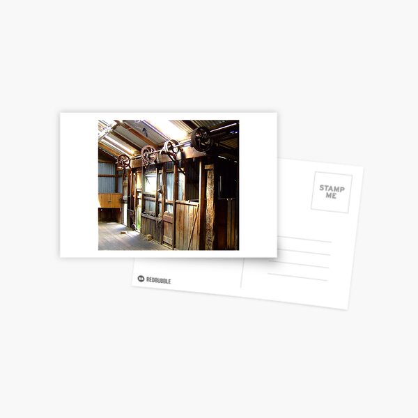 Inside the shearing shed Postcard
