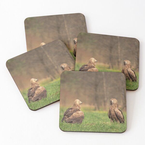 Item preview, Lesser Spotted Eagle #2 designed and sold by Dominika Aniola.