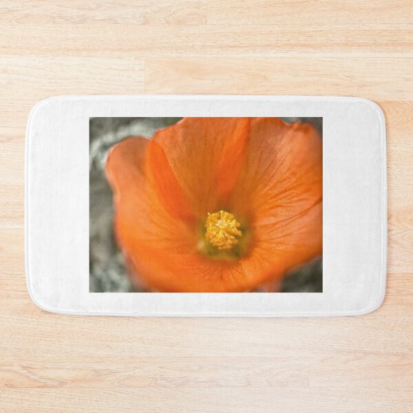 Item preview, Apricot Mallow designed and sold by Jason Tompkins.