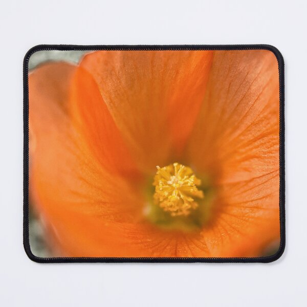 Item preview, Apricot Mallow designed and sold by Jason Tompkins.