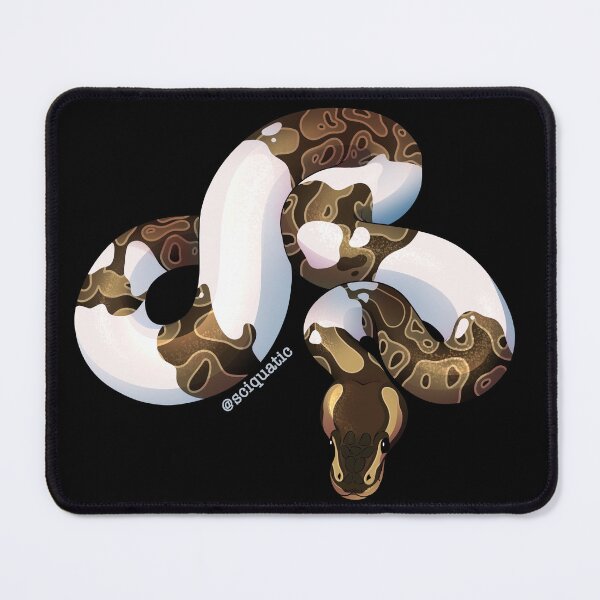 Item preview, Pied Ball Python illustration by @Sciquatic designed and sold by Sciquatic-Arts.