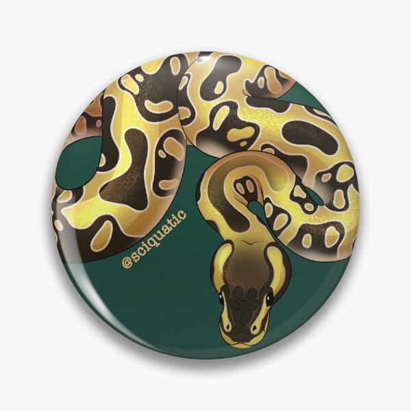 Item preview, Enchi Ball Python illustration by @Sciquatic designed and sold by Sciquatic-Arts.