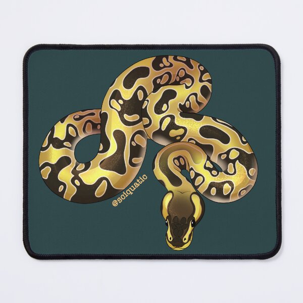 Item preview, Enchi Ball Python illustration by @Sciquatic designed and sold by Sciquatic-Arts.