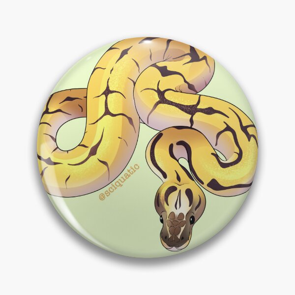Item preview, YellowBlast Spider Ball Python illustration by @Sciquatic designed and sold by Sciquatic-Arts.