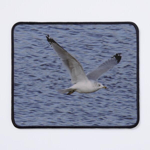 Item preview, Gull in Flight designed and sold by Tim Dusenberry.