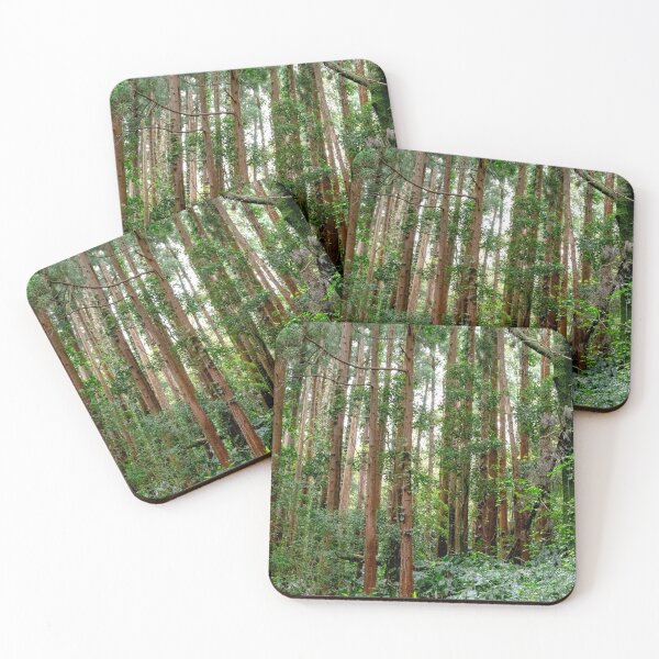Item preview, Azores rainforest designed and sold by J-Brezy.