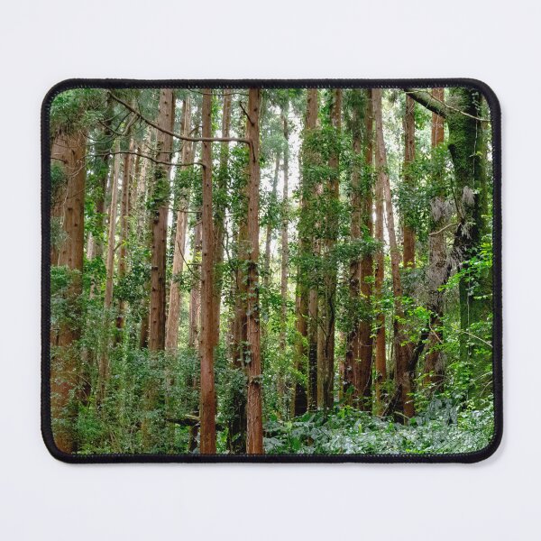 Item preview, Azores rainforest designed and sold by J-Brezy.