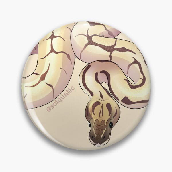 Item preview, Spider Ball Python illustration by @Sciquatic designed and sold by Sciquatic-Arts.