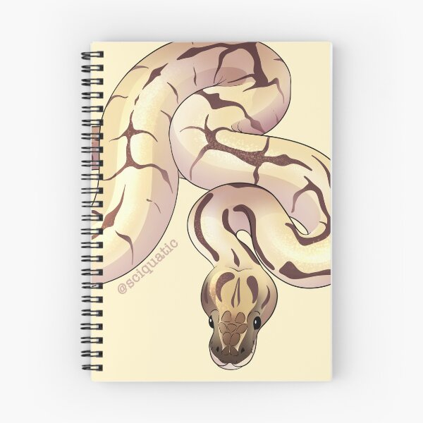 Item preview, Spider Ball Python illustration by @Sciquatic designed and sold by Sciquatic-Arts.