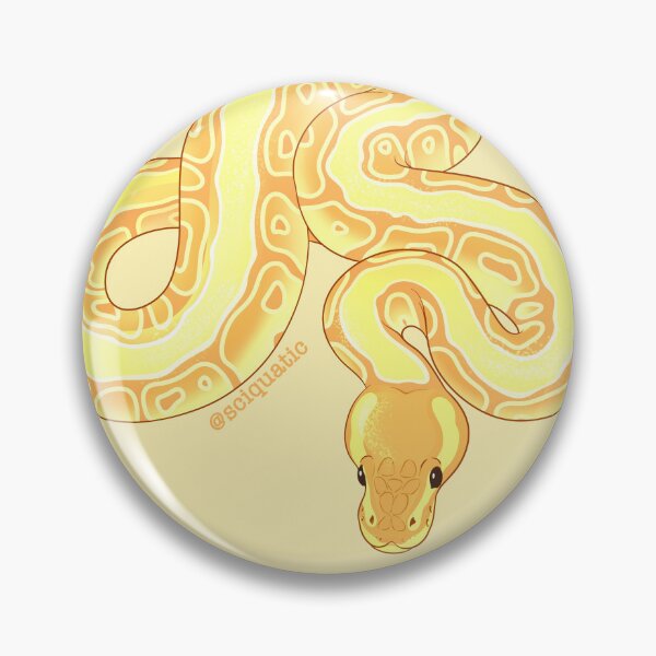 Item preview, Albino Pinstripe Ball Python illustration by @Sciquatic designed and sold by Sciquatic-Arts.