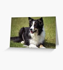Gwen Greeting Card