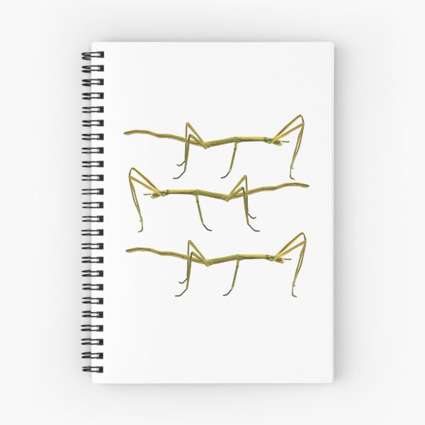 Item preview, S is for Stick Insect, Stick Insect – Camouflaged Master of the Insect World Illustration designed and sold by PrettylittlepastelUk.