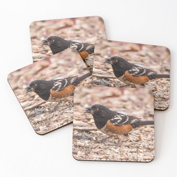 Item preview, Spotted Towhee designed and sold by CarolM.