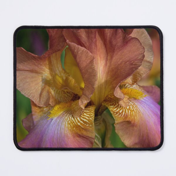 Item preview, Iris Dreams designed and sold by alanathrower.